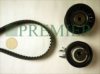 BRT Bearings PBTK324 Timing Belt Kit